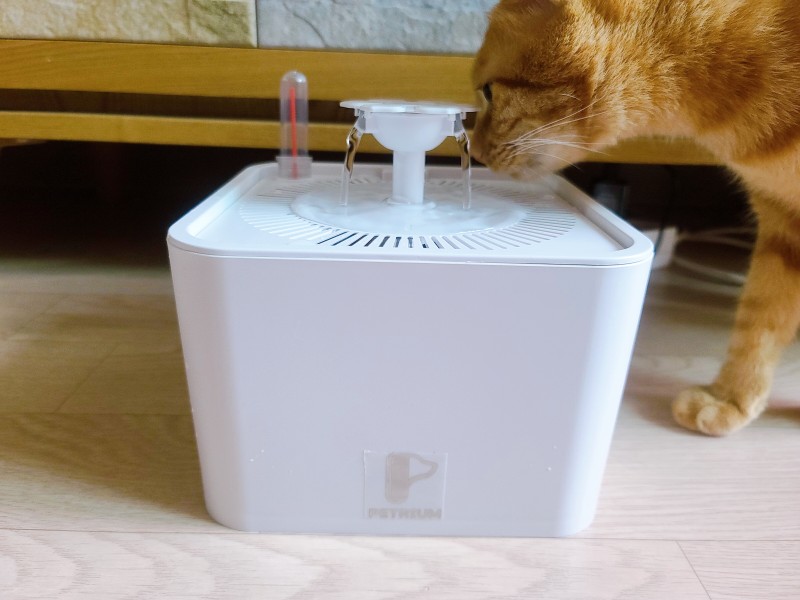고양이 자동급수기