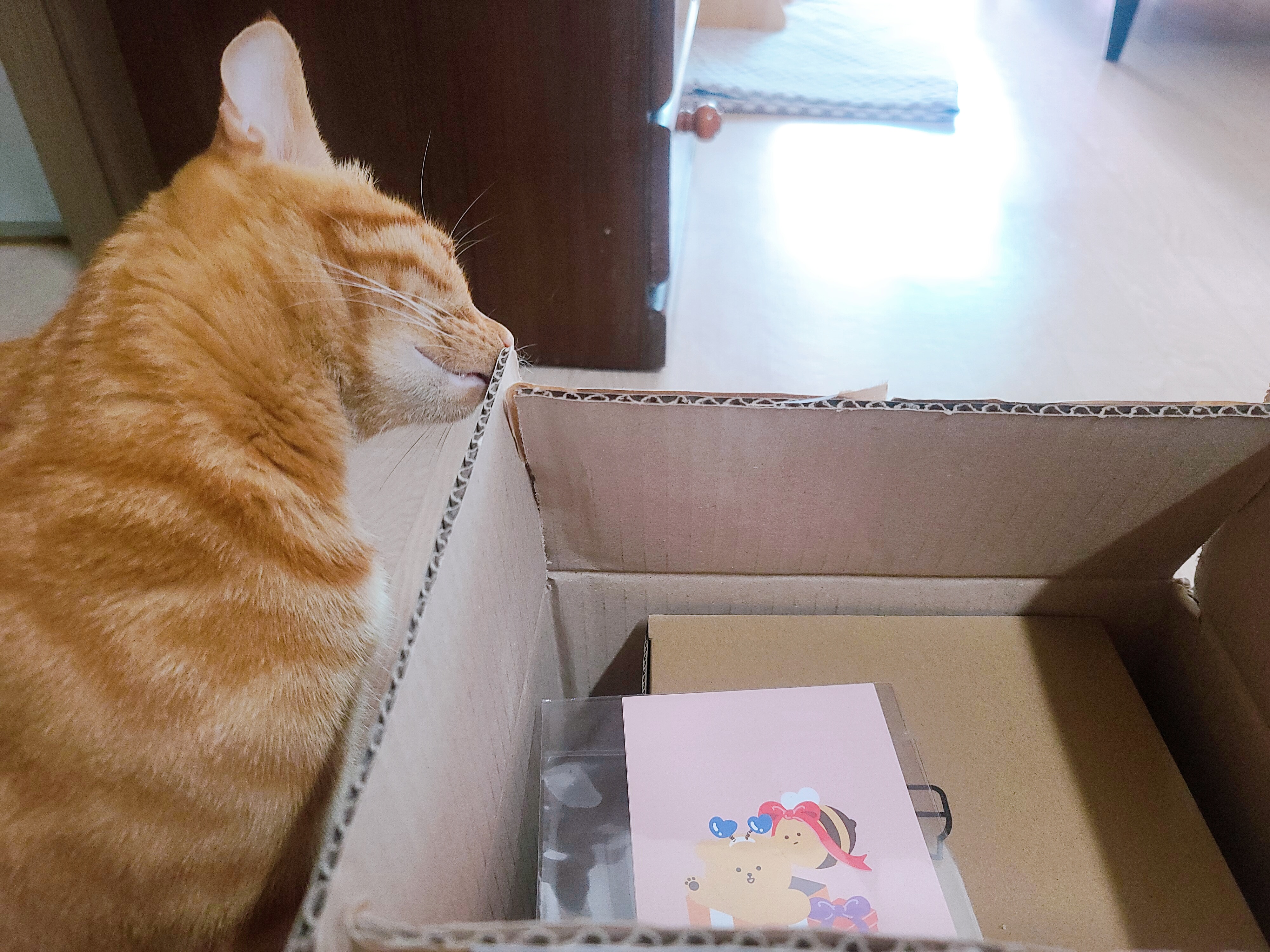 고양이 자동급수기