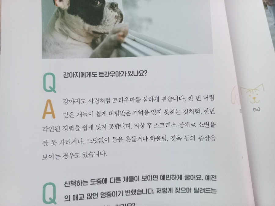 펫 비타민 도서