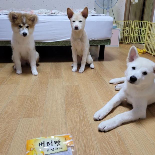ㅇㅇ