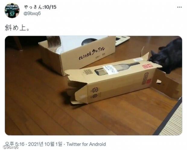 ⓒ노트펫