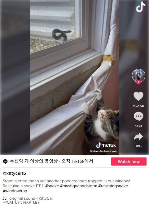 이미지를 클릭하면 원본 동영상으로 이동합니다. 