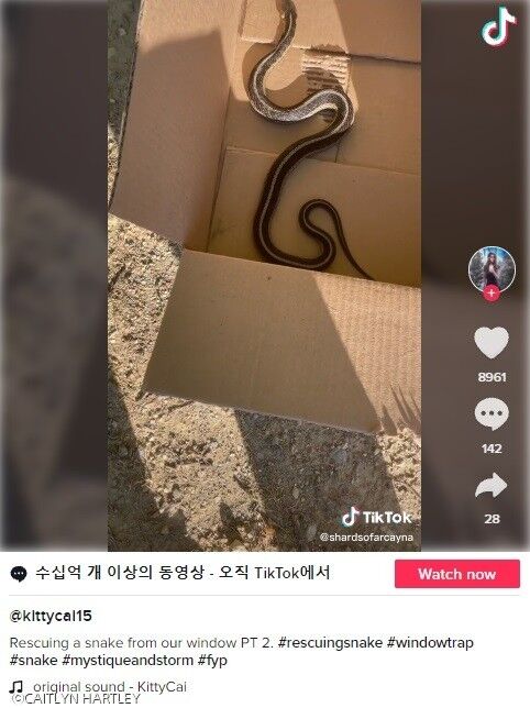 이미지를 클릭하면 원본 동영상으로 이동합니다. 
