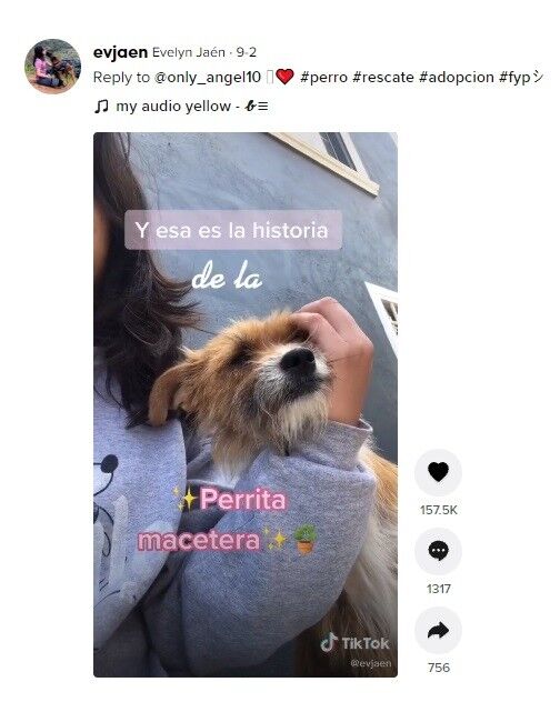 ⓒ노트펫