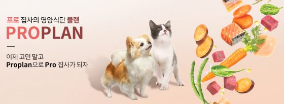 네슬레, 맞춤영양 수의사 상담 채널 ‘프로플래너’ 개설