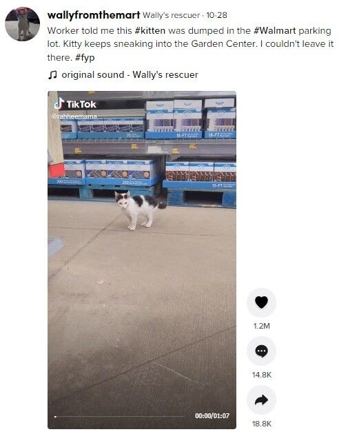 ⓒ노트펫