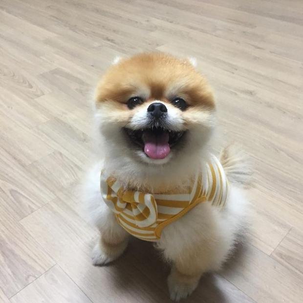 인스타그램 @dung_____2