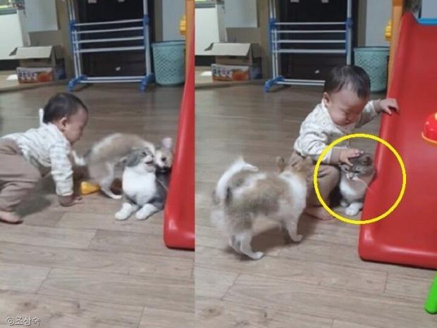 사진=조상숙 님 제공(이하)