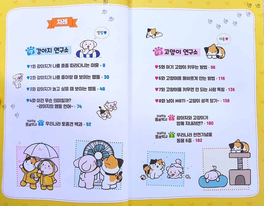 비마이펫 멍냥연구소