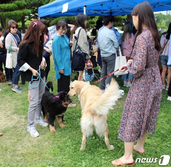 바이오헬스 국가산단 유치 충주 ‘반려동물 산업 육성한다’