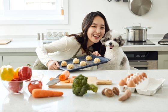 “건사료 섞어 먹이면 강아지 알레르기 생기나요?”
