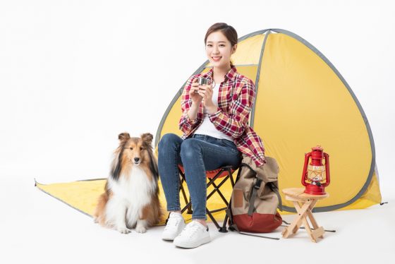 코로나19 이후… “펫케어서비스, 동반여행•캠핑 관심 높아”