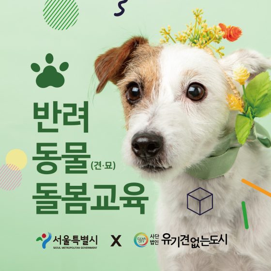 “멍냥이 함께 해요”… 반려가족 체험교실 등 프로그램 봇물