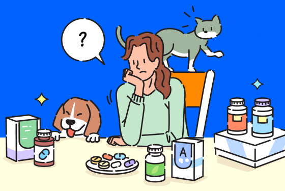 위들아카데미, “댕냥이 영양제, 정말 효과 있을까…?”