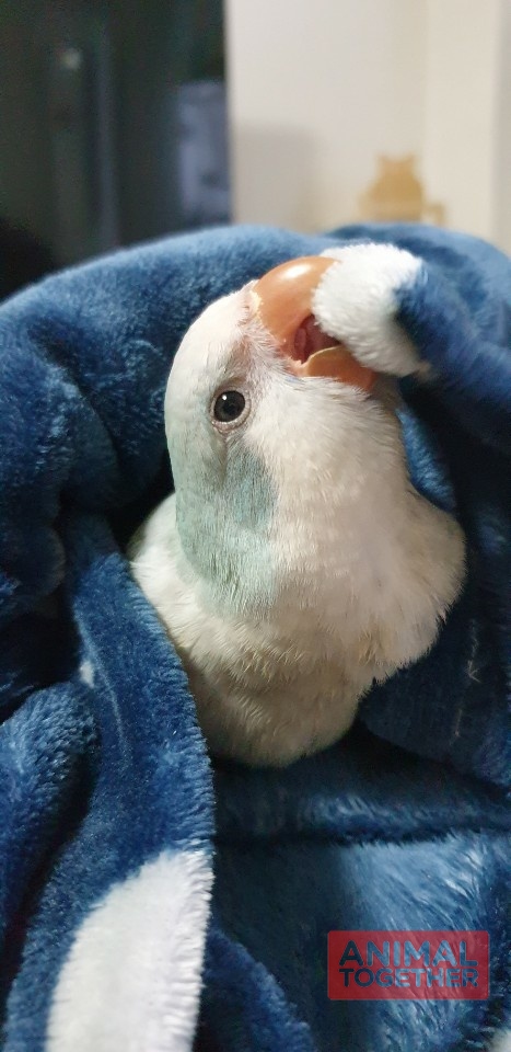 너무 사랑스럽죠? :)