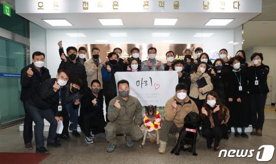 실종 치매 노인 찾아냈던 베테랑 경찰견 ‘마리’ 은퇴