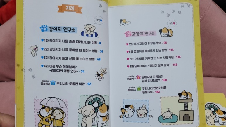 비마이펫 멍냥연구소