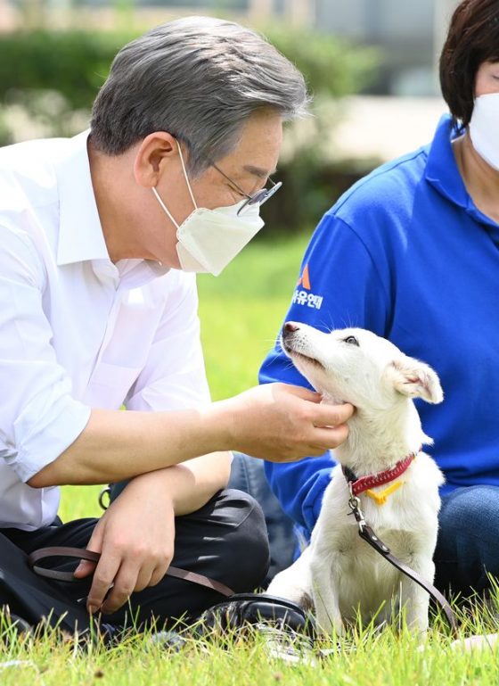 이재명, “동물 보호소라는 가면 쓴 신종 펫샵 근절할 것”