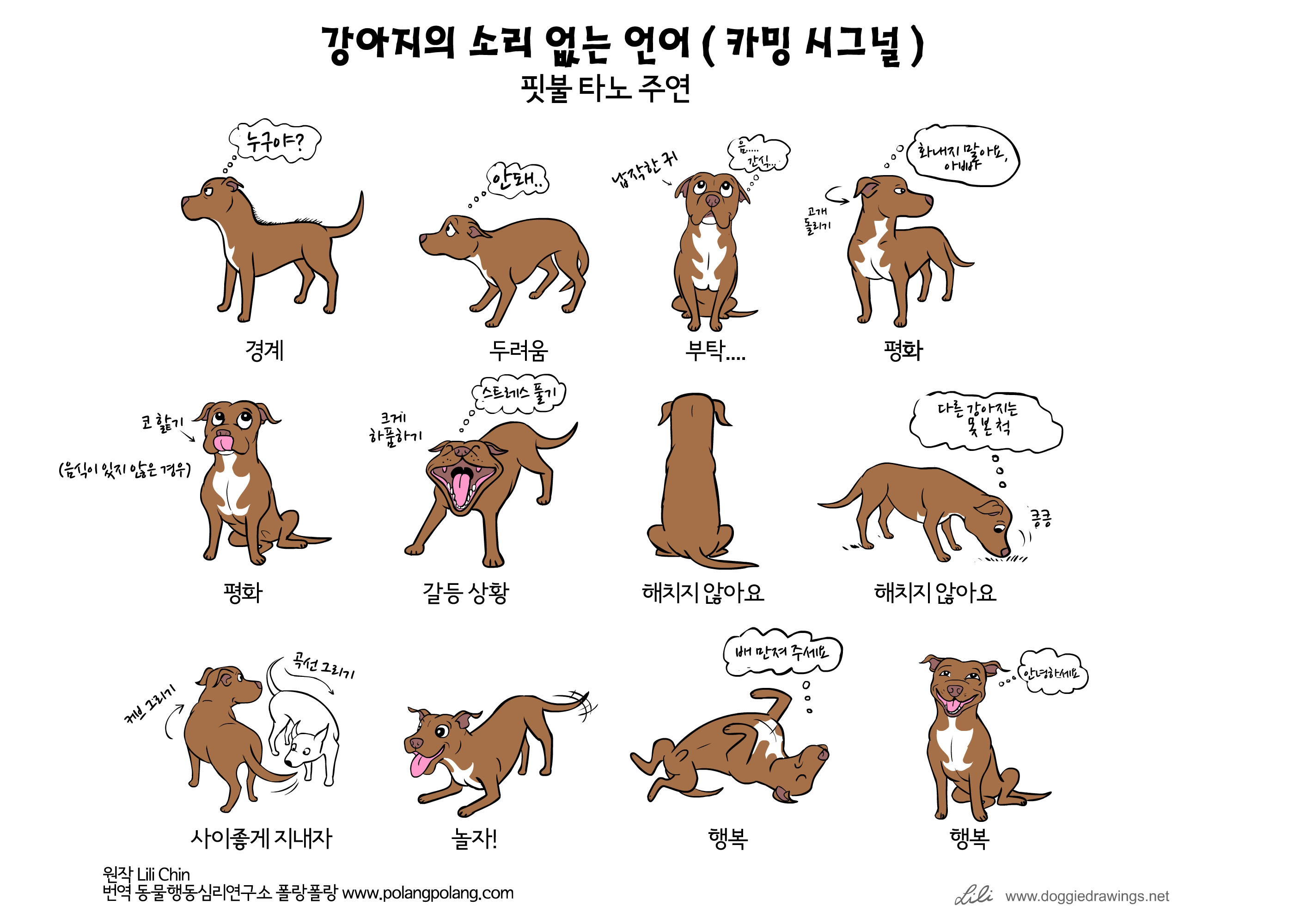 인포그래픽, 강아지의 소리 없는 언어 '카밍 시그널' - 비마이펫 크리에이터즈