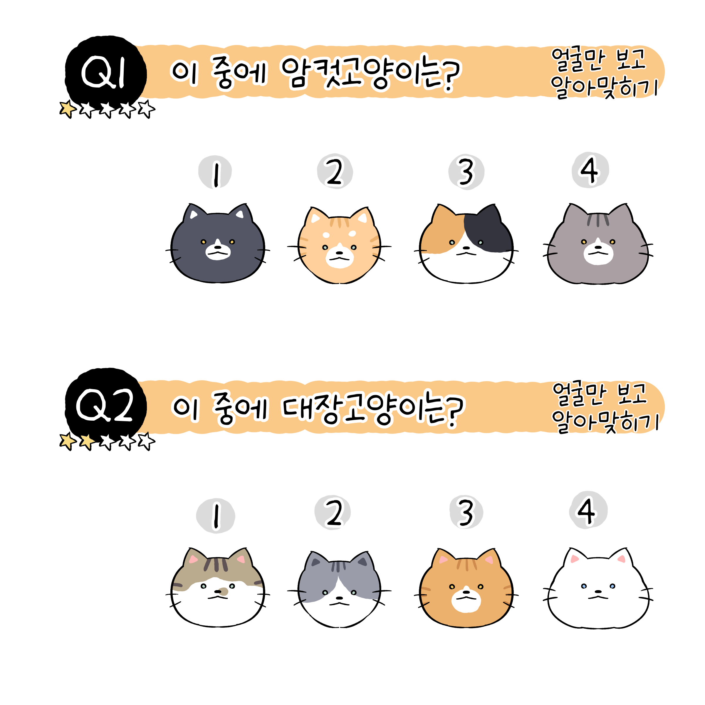 고양이 만화