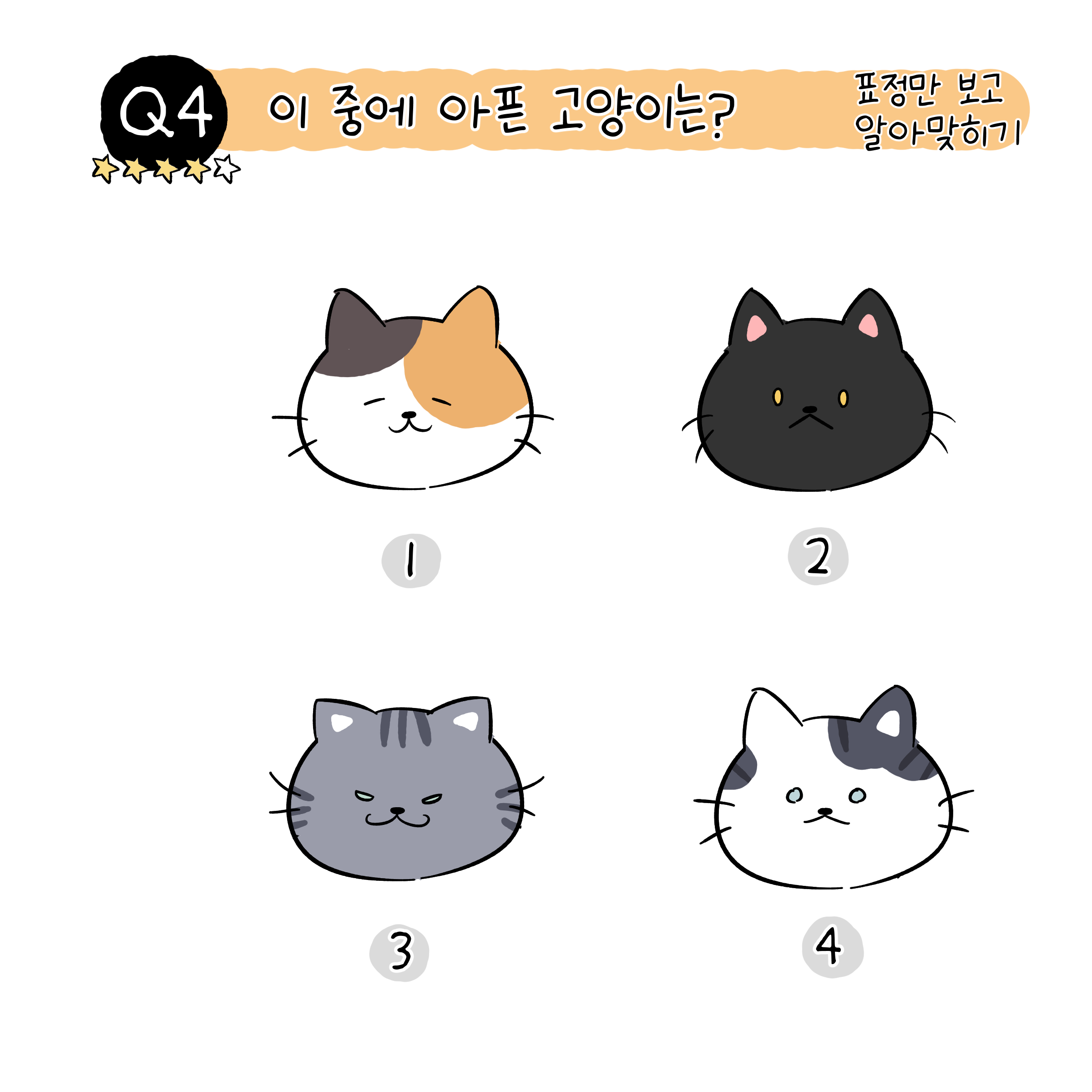 고양이 만화