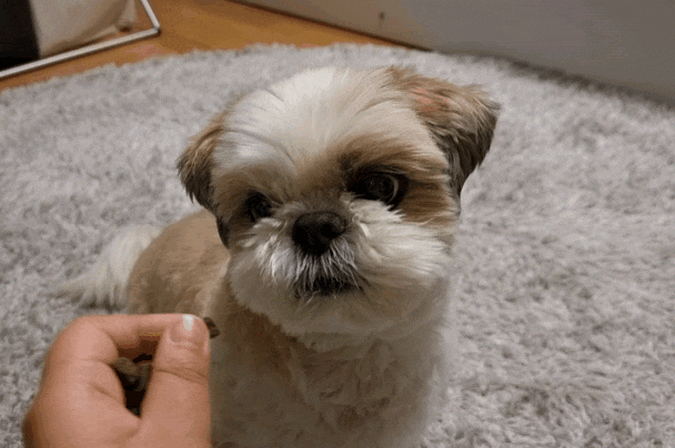 곰곰연구소 노마웰릿