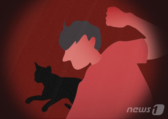 고양이 담벼락에 내리쳐 죽인 20대…”울음소리 공부 방해”