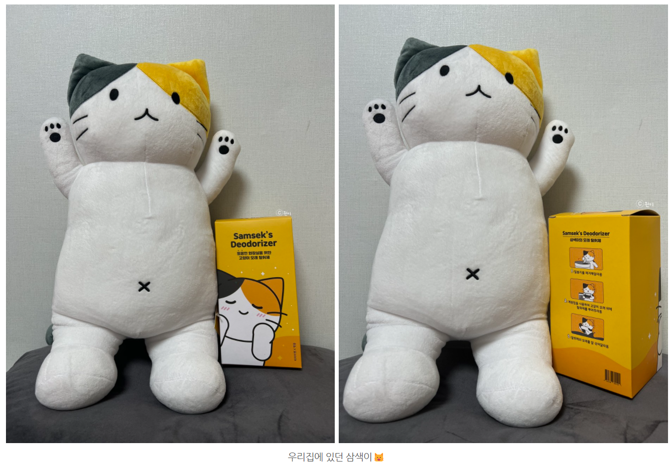 고양이 모래 탈취제