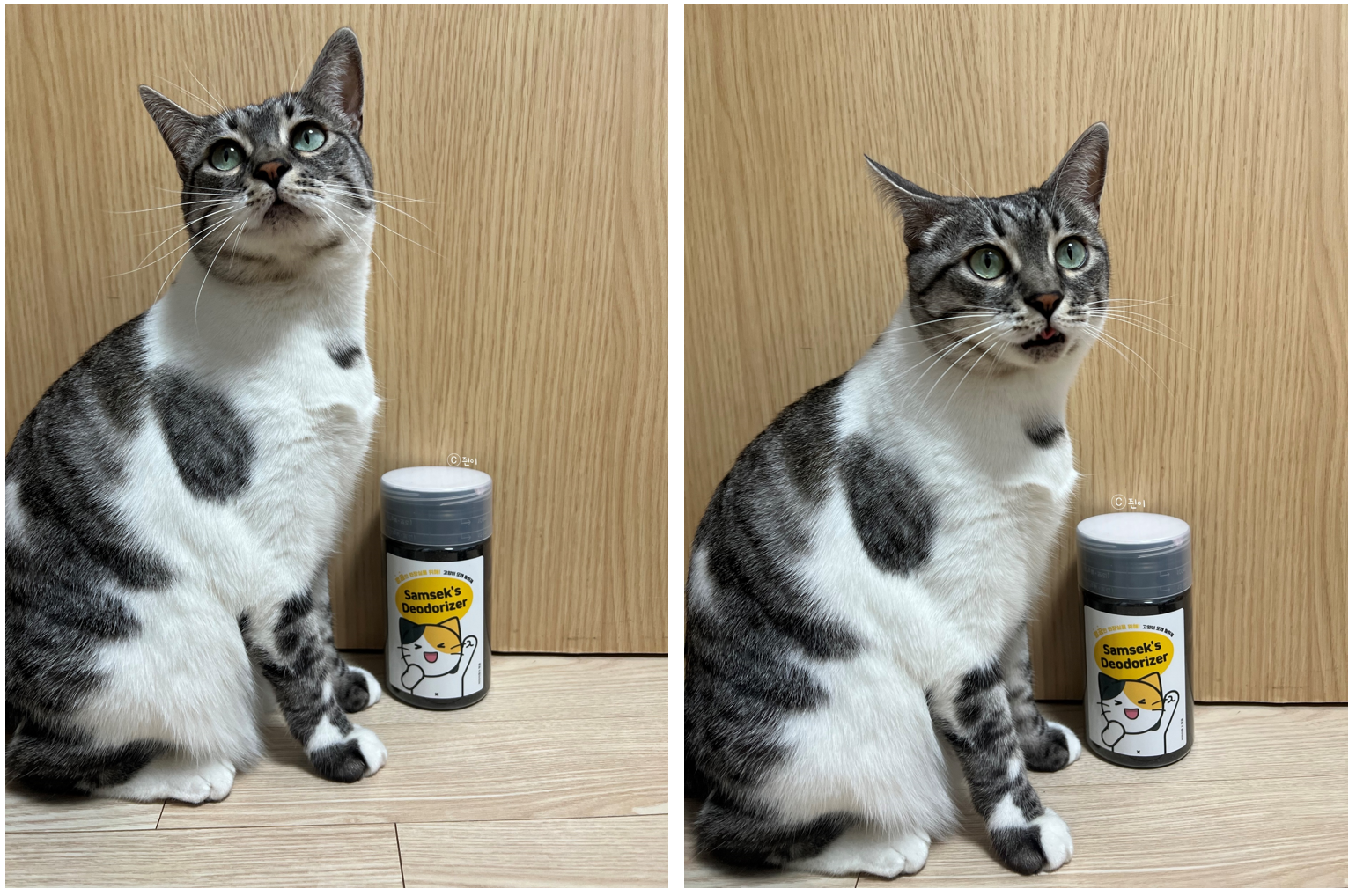 고양이 모래 탈취제