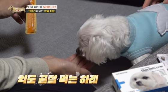 설채현 통해 동물약품 PPL 광고한 EBS ‘세나개’ 법정 제재