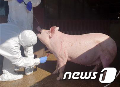 동물시험 줄이는 화학물질 유해성 평가