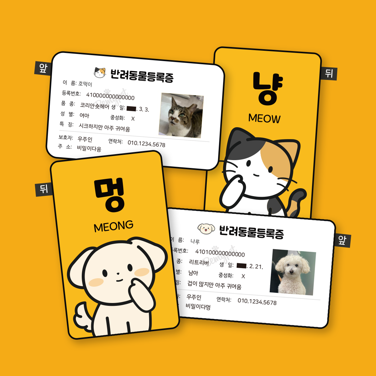 동물등록 자진신고