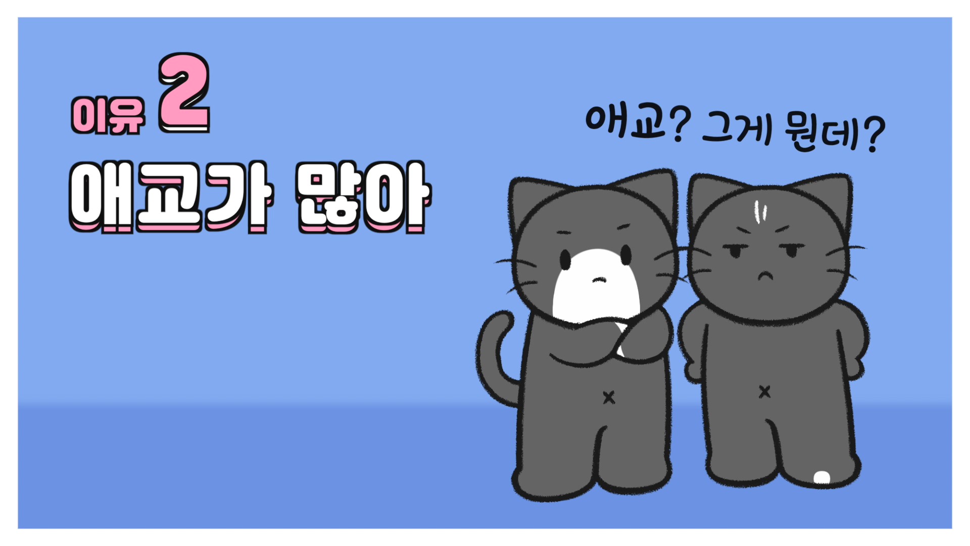 고양이 따라오는