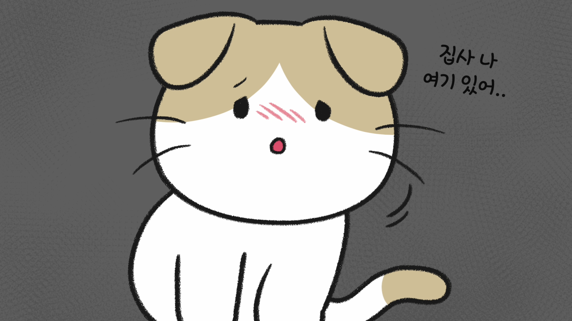 고양이 상처
