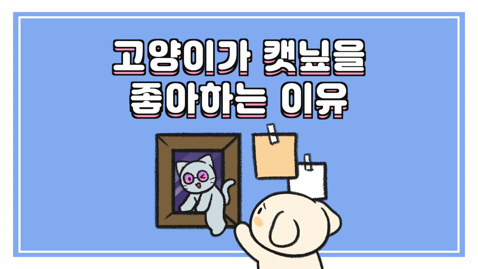 고양이 캣닢