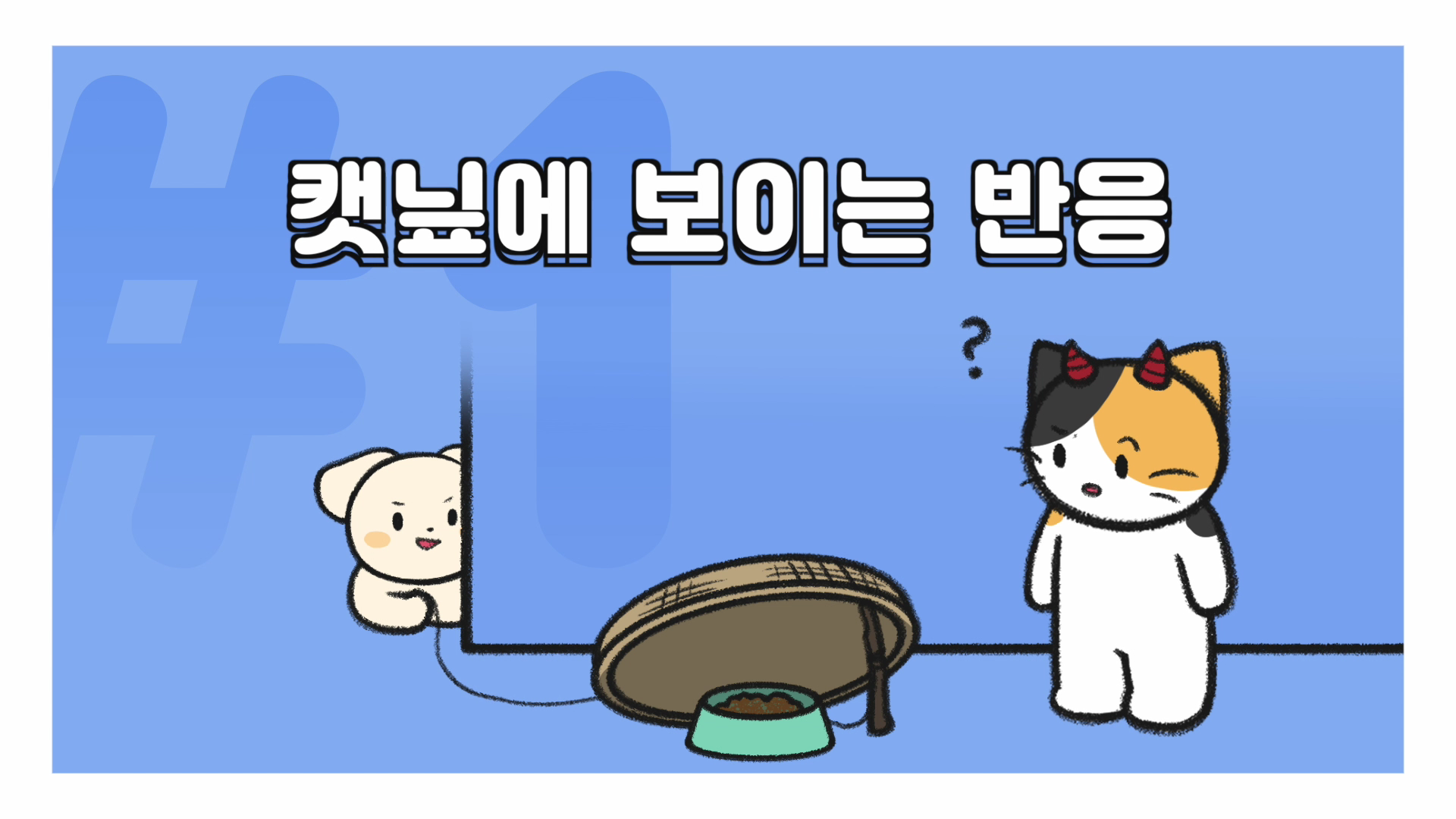 고양이 캣닢