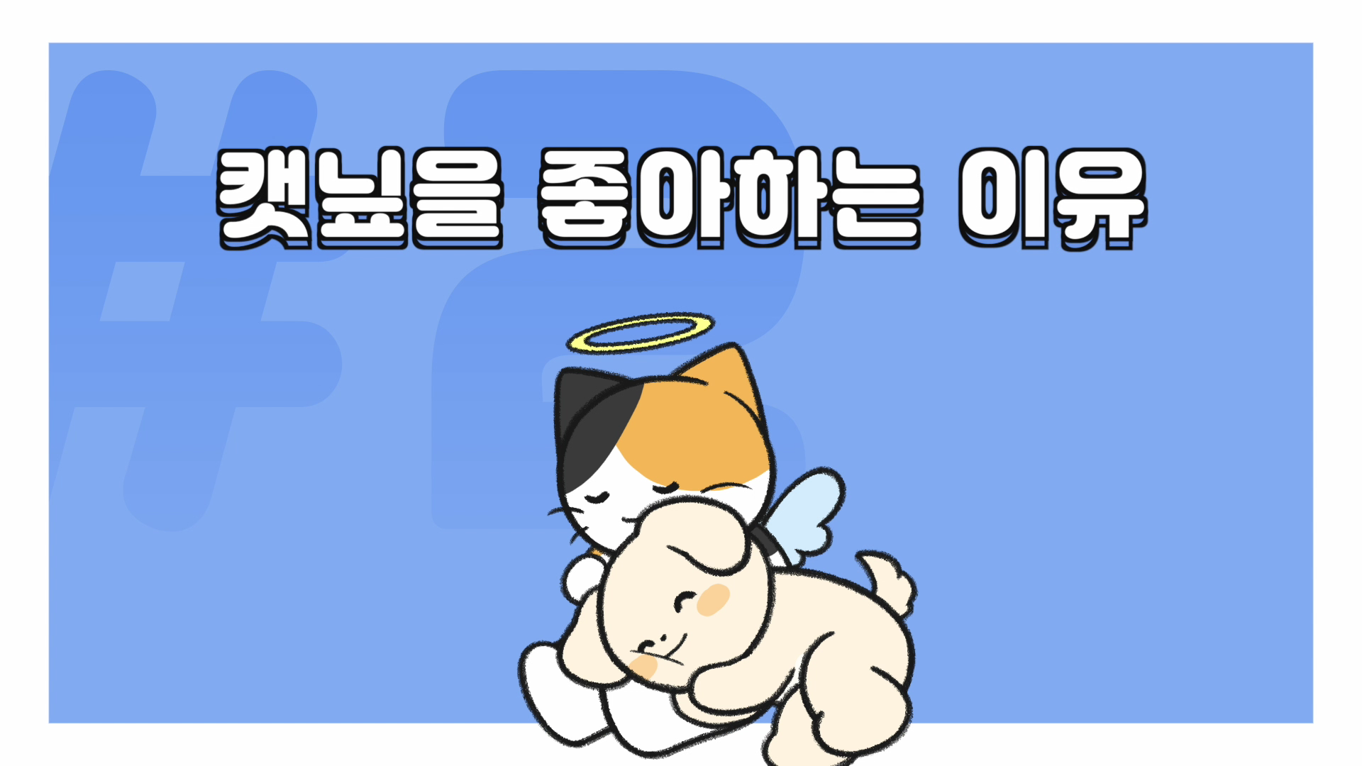 고양이 캣닢
