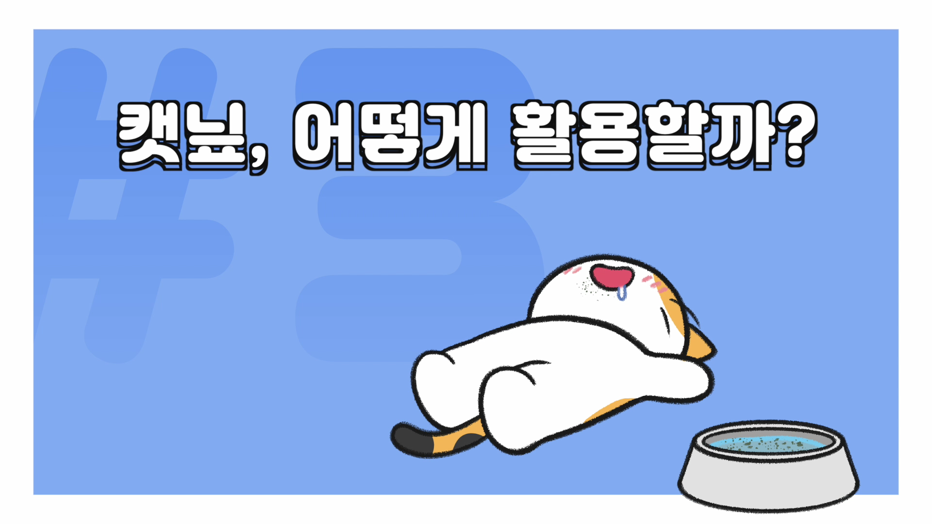 고양이 캣닢