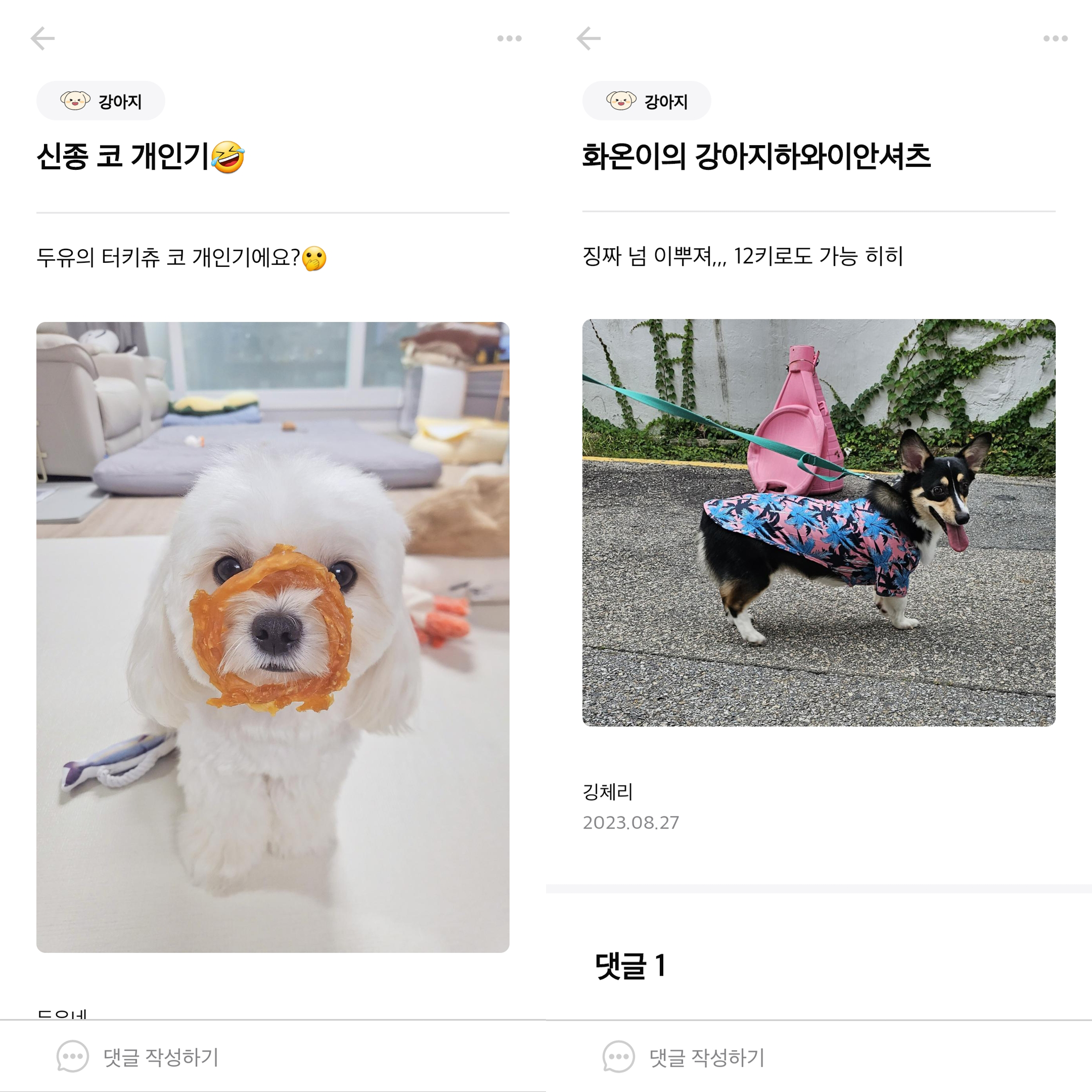 강아지 커뮤니티 앱
