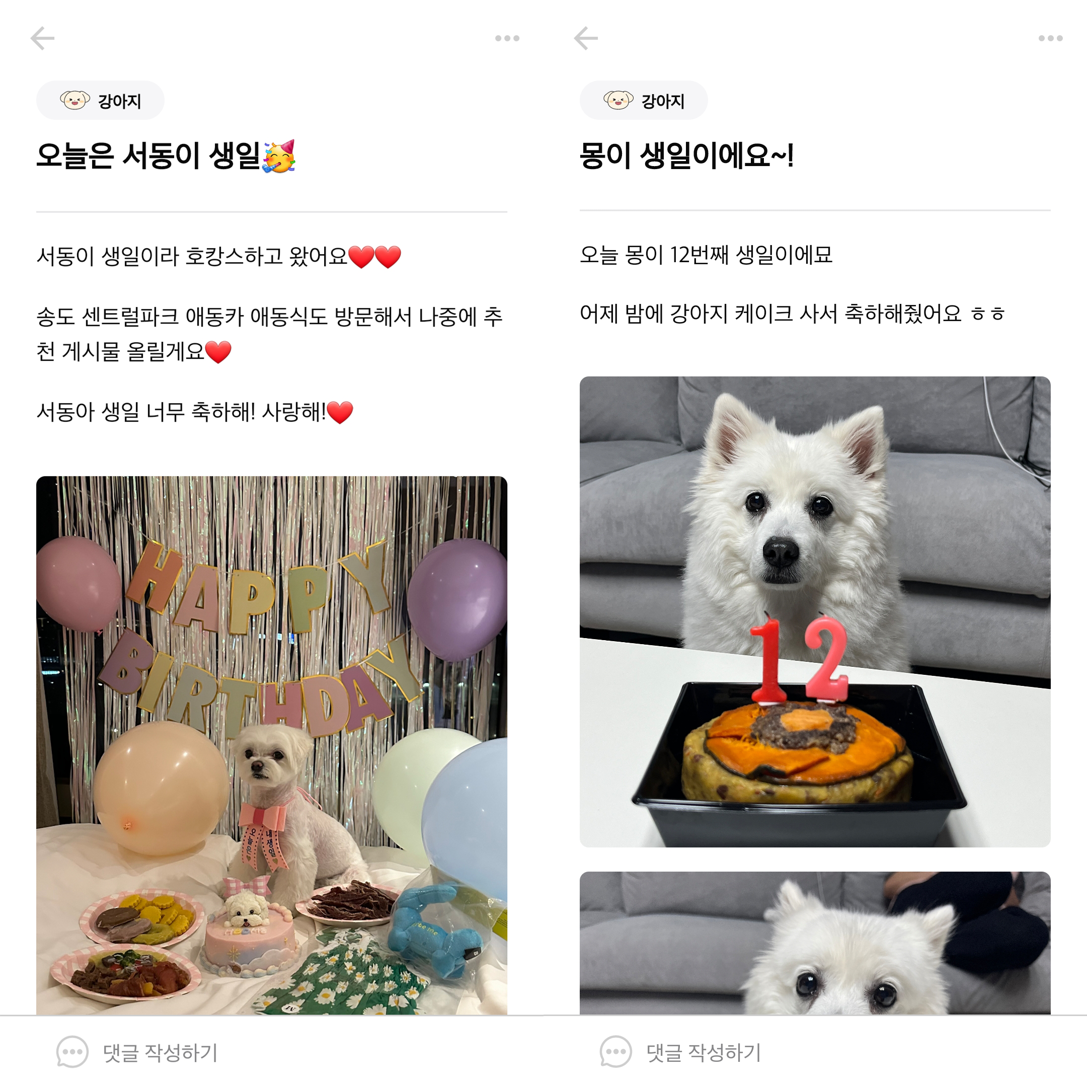 강아지 커뮤니티 앱