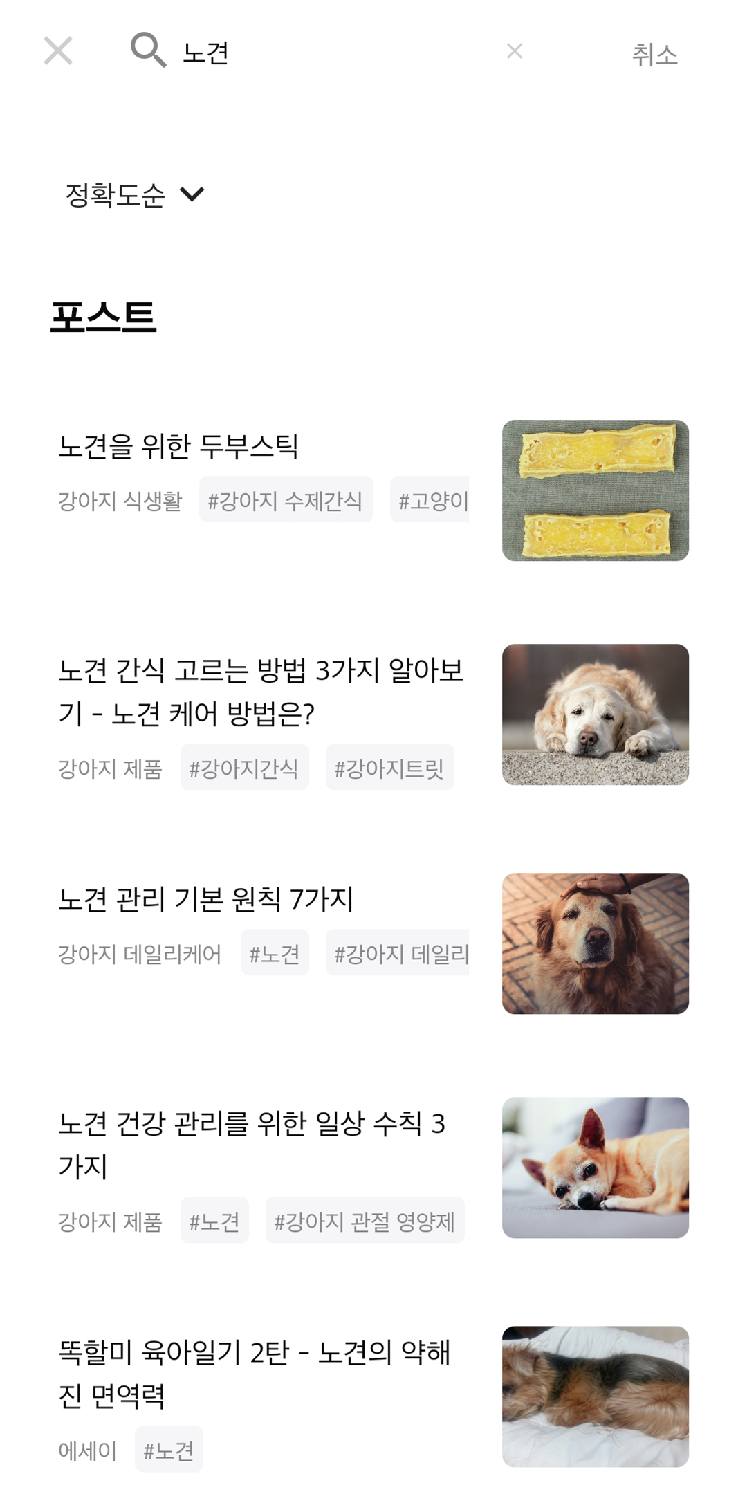 강아지 커뮤니티 앱