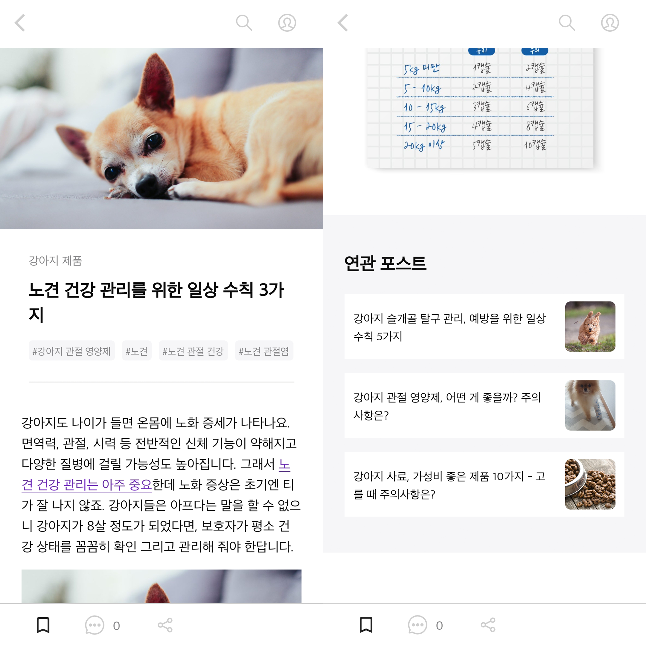 강아지 커뮤니티 앱