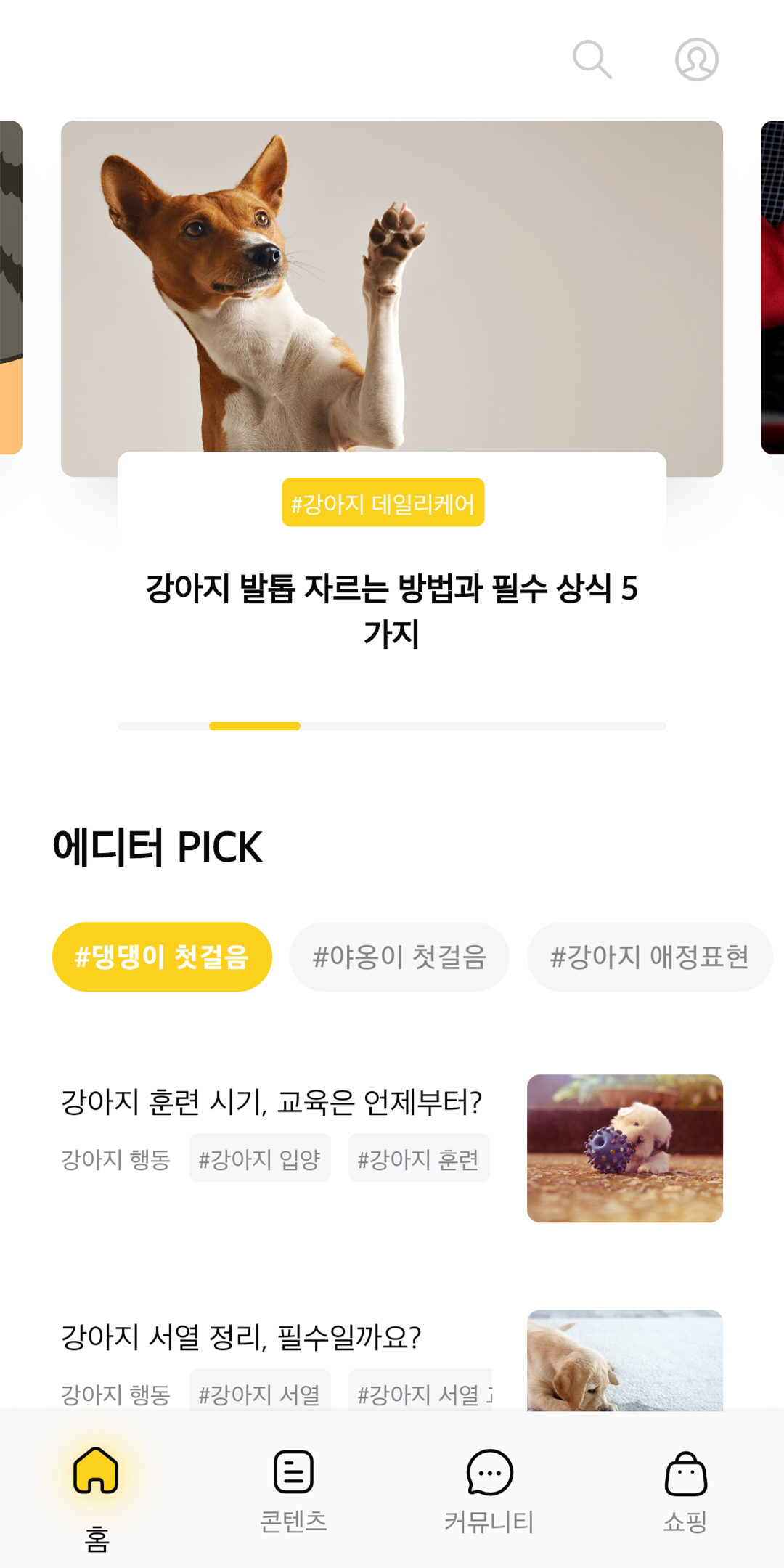 강아지 커뮤니티 앱