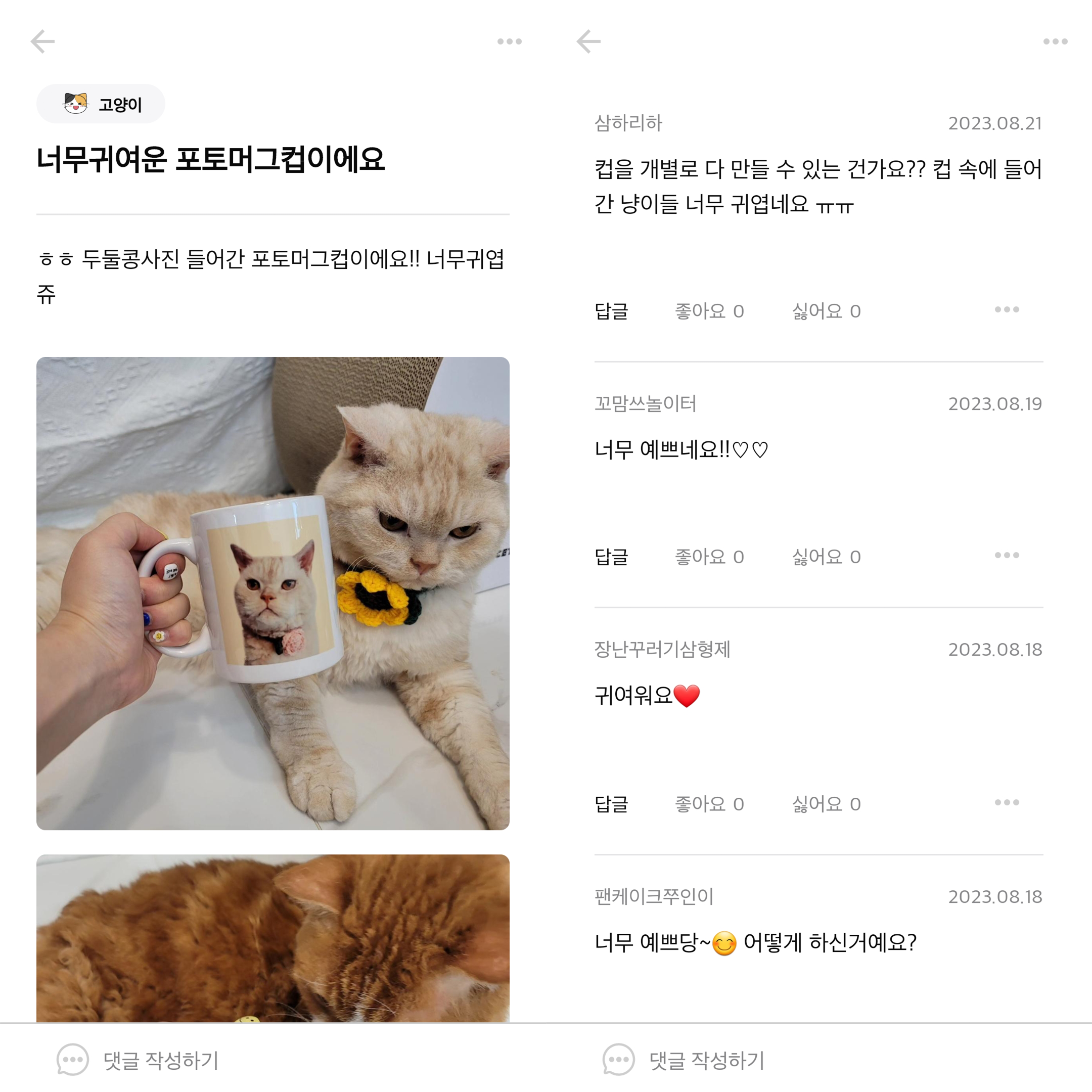 고양이 커뮤니티 앱
