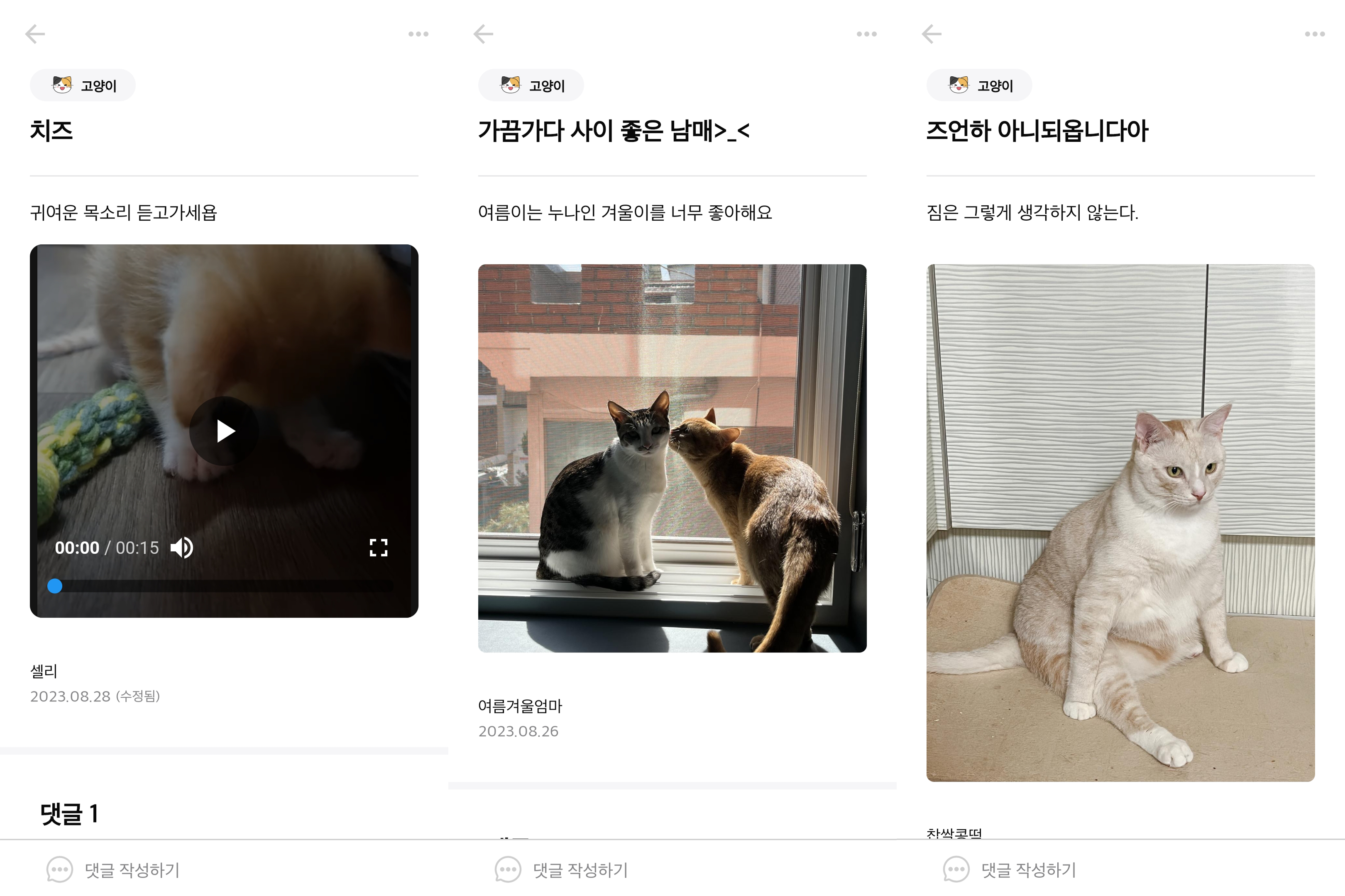 고양이 커뮤니티 앱
