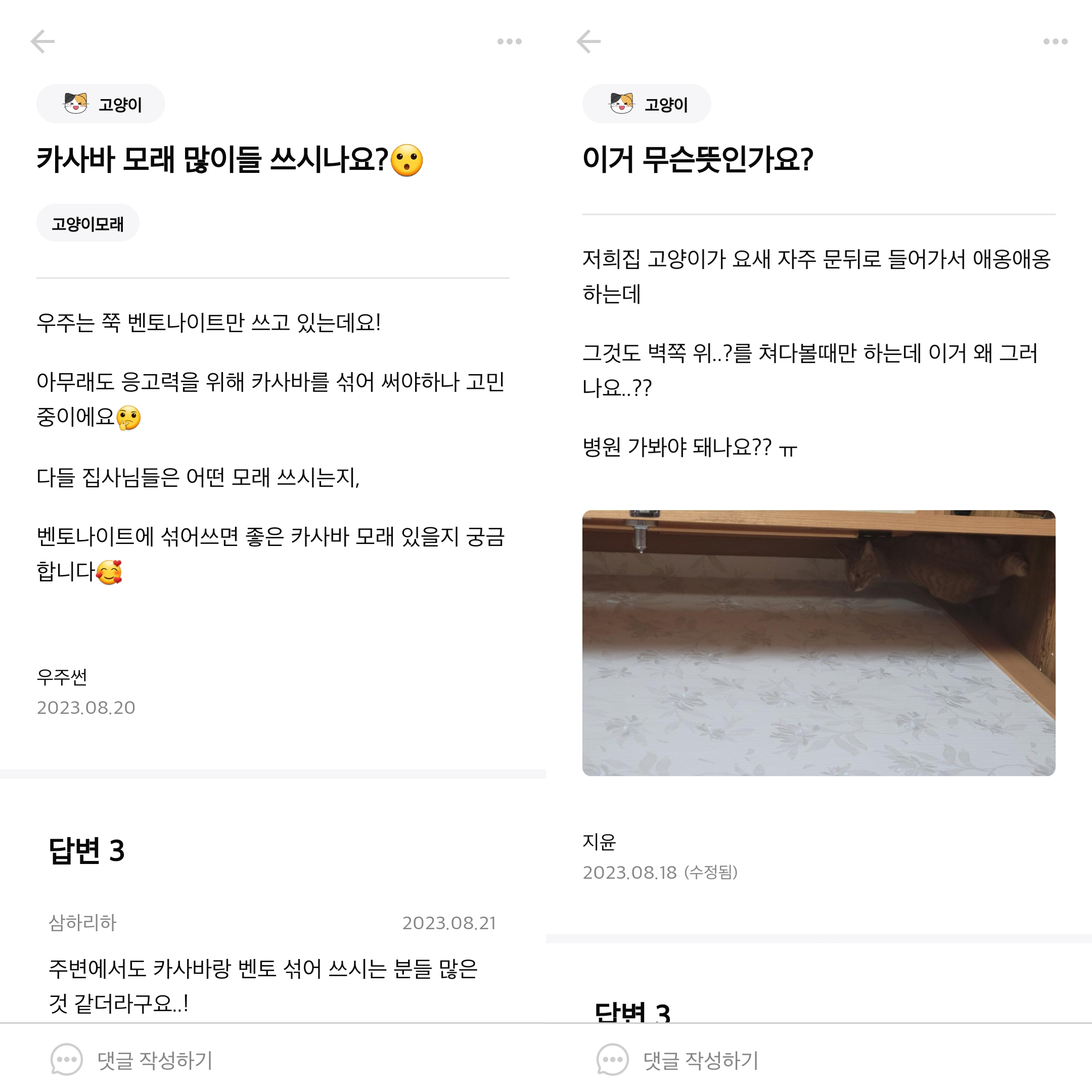 고양이 커뮤니티 앱