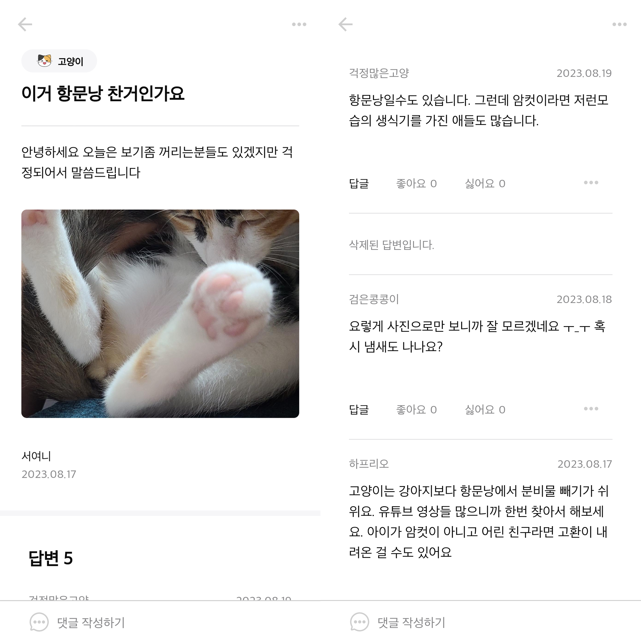 고양이 커뮤니티 앱
