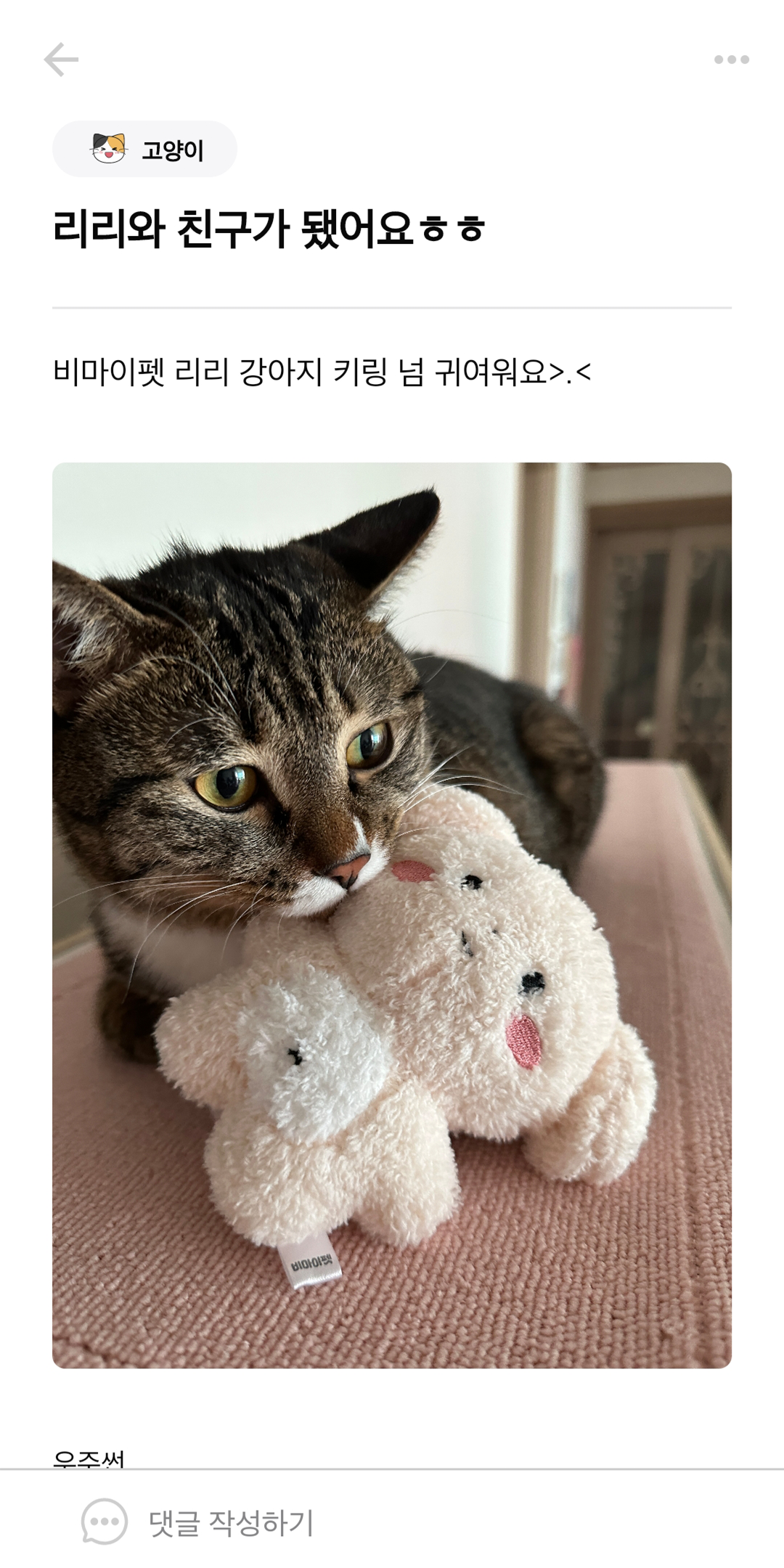 고양이 커뮤니티 앱